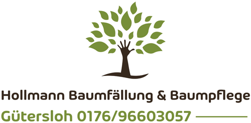 Baumfällung und Baumpflege in Gütersloh | Hollmann Baumarbeiten